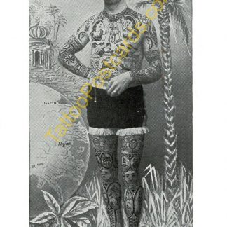 Vintage photograph of Tattooed Man 1895